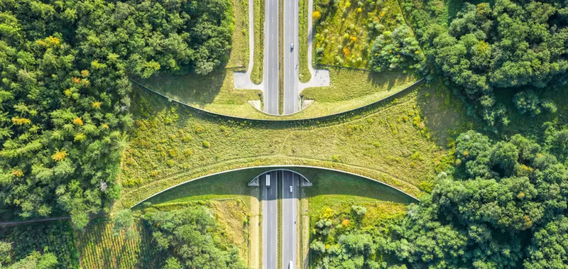 autostrada pośród zieleni ochrona środowiska